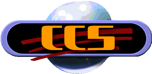 CCS — Computer Consulting Service